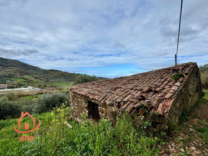 alto-rudere-con-terreno-ogliastro-cilento
