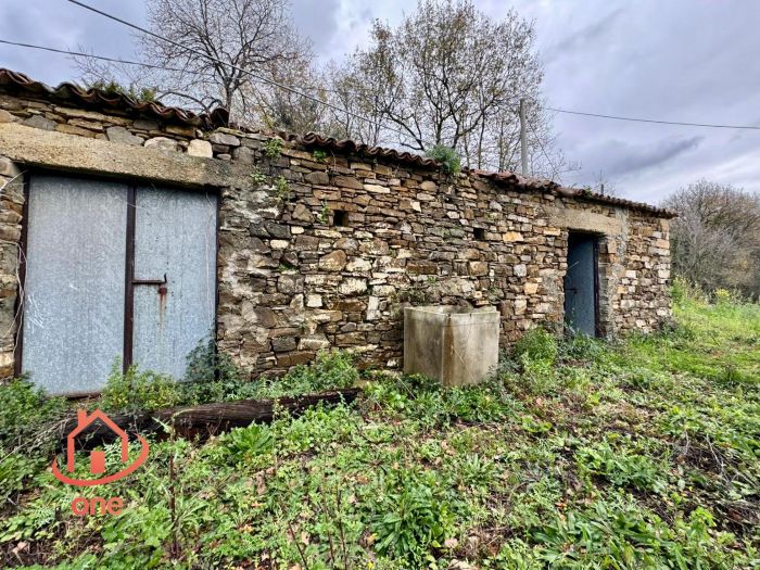 facciata-intera-rudere-con-terreno-ogliastro-cilento