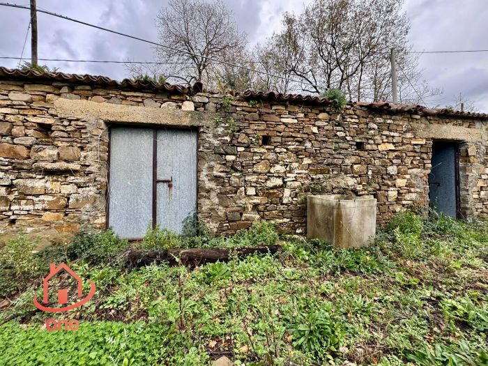 facciata-rudere-con-terreno-ogliastro-cilento
