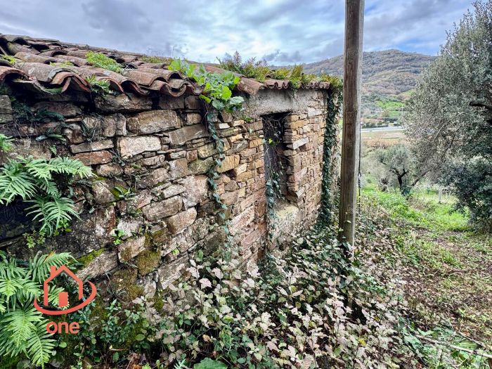 laterale-deastro-due-crudere-con-terreno-ogliastro-cilento