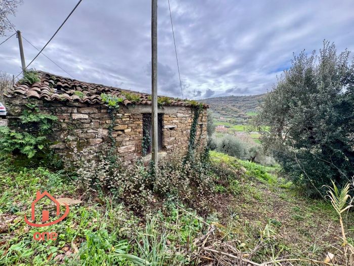 laterale-destro-rudere-con-terreno-ogliastro-cilento