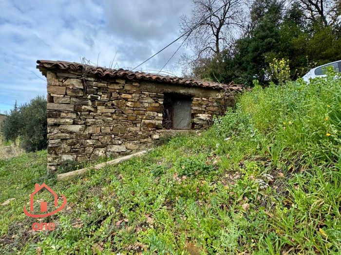 laterale-rudere-con-terreno-ogliastro-cilento