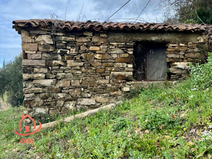 laterale-sinistro-rudere-con-terreno-ogliasstro-cilento