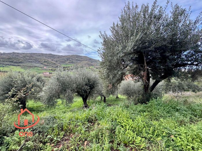 parziale.-terreno-con-rudere-ogliastro-cilento