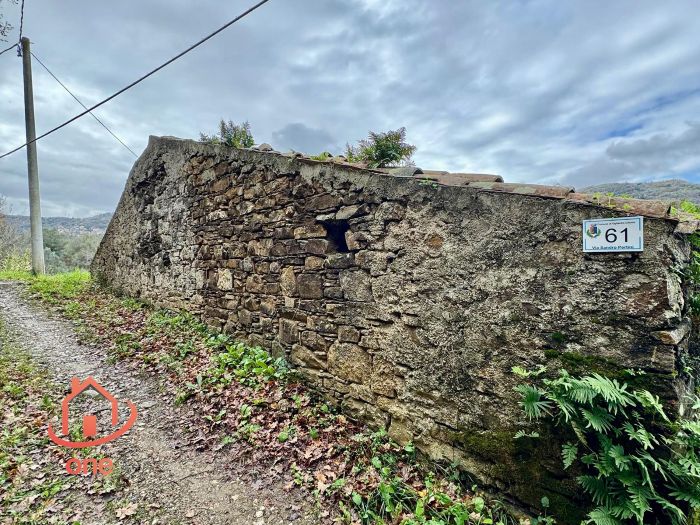 retro-rudere-con-terreno-ogliastro-cilento