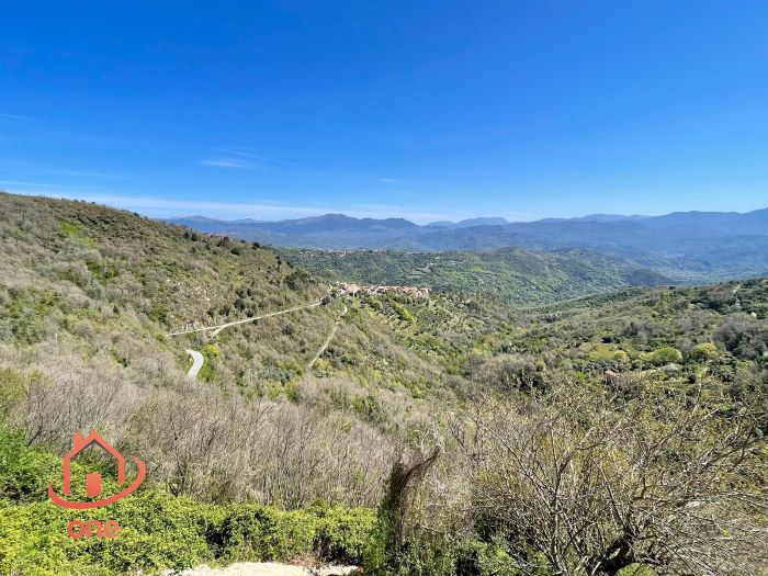Casale-in-vendita-nel-Borgo-di-Mercato-Cilento (14)