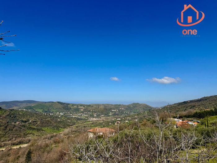 casale-con-terreno-panoramico-uliveto-vatolla-perdifumo (11)