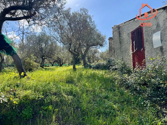 casale-con-terreno-panoramico-uliveto-vatolla-perdifumo (18)