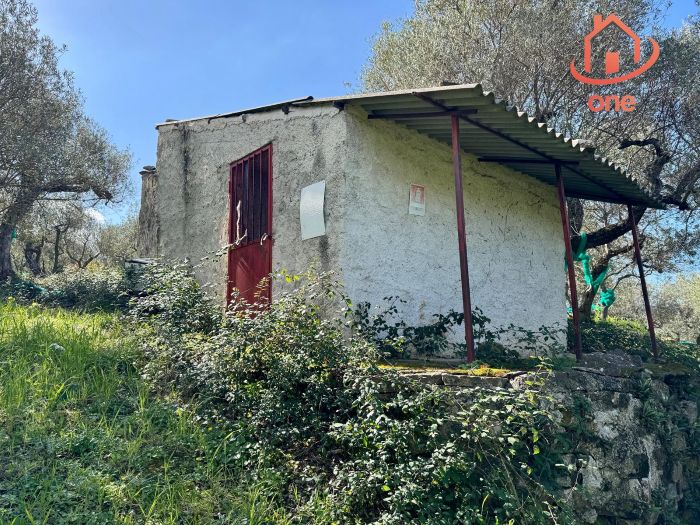 casale-con-terreno-panoramico-uliveto-vatolla-perdifumo (19)