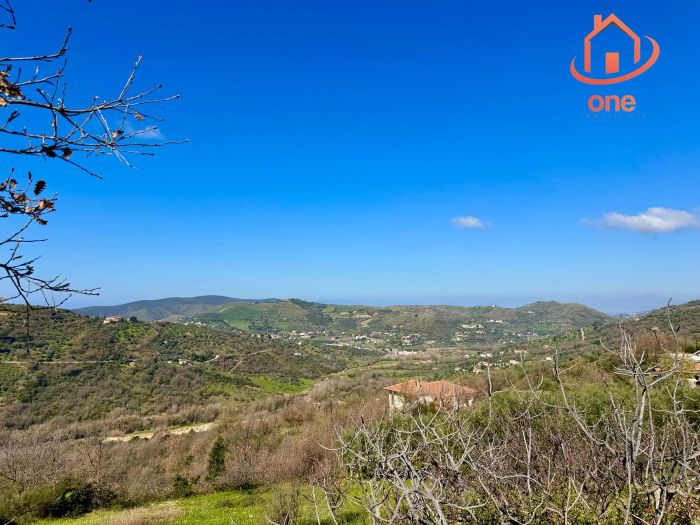 casale-con-terreno-panoramico-uliveto-vatolla-perdifumo (7)