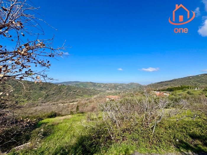 casale-con-terreno-panoramico-uliveto-vatolla-perdifumo (8)