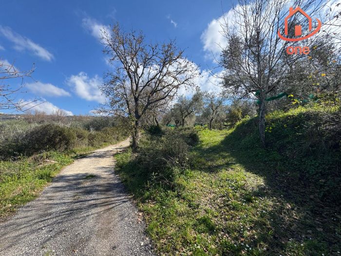 casale-con-terreno-panoramico-uliveto-vatolla-perdifumo