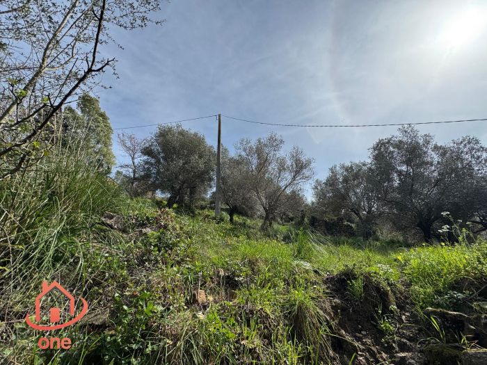 rudere-casale-montecorice-vista-mare-castellabate (12)