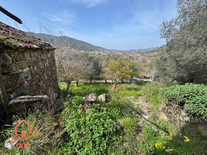 rudere-casale-montecorice-vista-mare-castellabate (14)