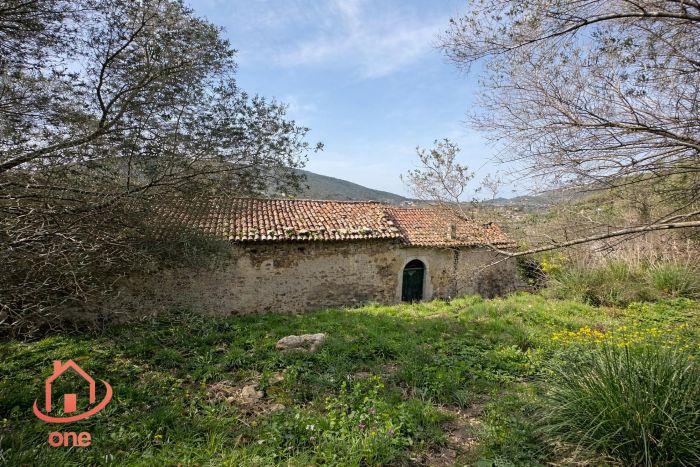 rudere-casale-montecorice-vista-mare-castellabate (2)