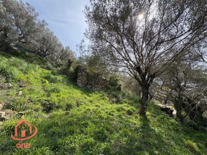 rudere-casale-montecorice-vista-mare-castellabate (4)