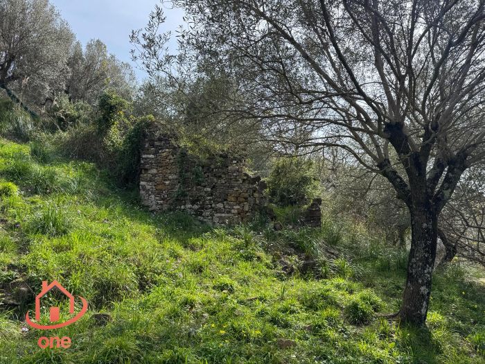 rudere-casale-montecorice-vista-mare-castellabate (6)