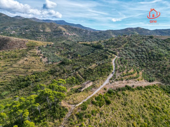 rudere-con-terreno-in-vendita-aMontecorice (11)