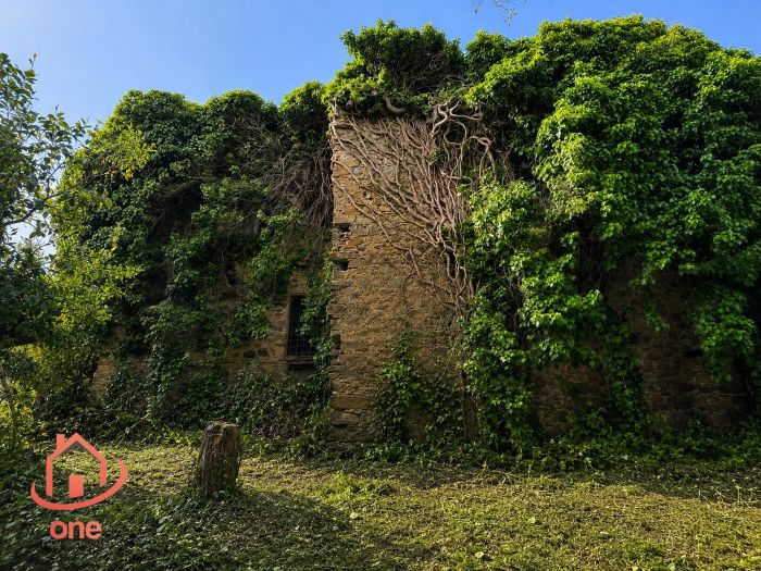 complesso-di-appartamenti-panoramici-a-laureana-cilento-da ristrutturare-con-terre