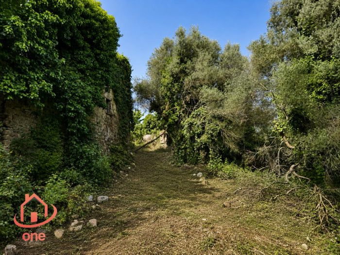 complesso-di-appartamenti-panoramici-a-laureana-cilento-da ristrutturare-con-terreno (10)