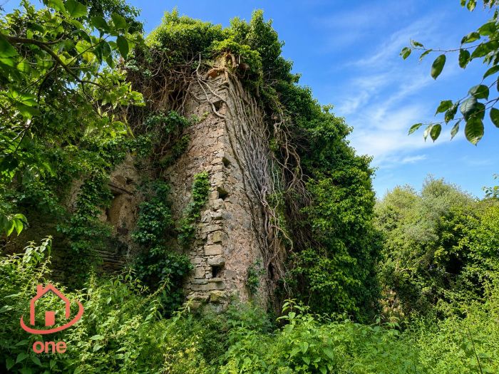 complesso-di-appartamenti-panoramici-a-laureana-cilento-da ristrutturare-con-terreno (23)