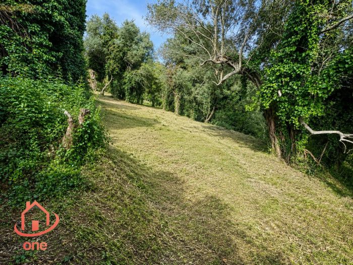 complesso-di-appartamenti-panoramici-a-laureana-cilento-da ristrutturare-con-terreno (25)