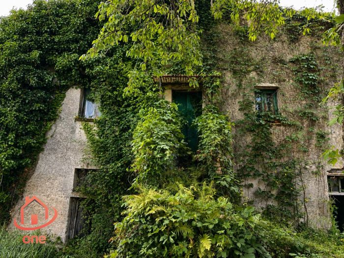 complesso-di-appartamenti-panoramici-a-laureana-cilento-da ristrutturare-con-terreno (7)