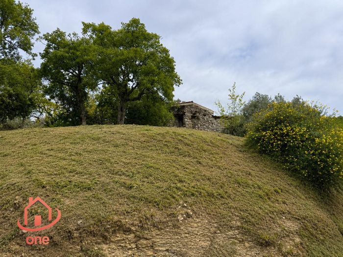 terreno-panoramico-serramezzana-con-grezzo (4)