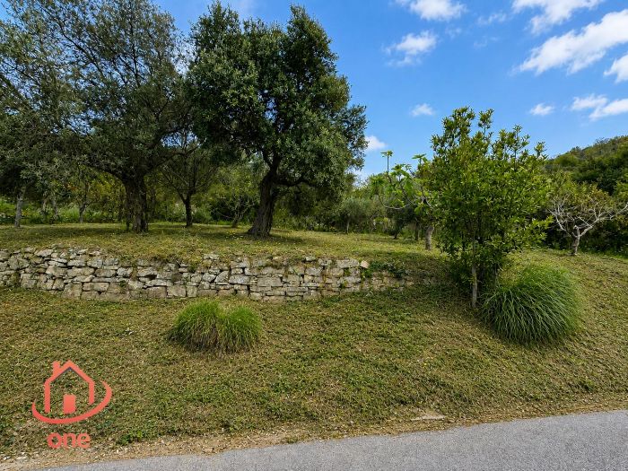 terreno-panoramico-serramezzana-con-grezzo (6)