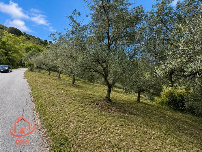 terreno-panoramico-serramezzana-con-grezzo (7)