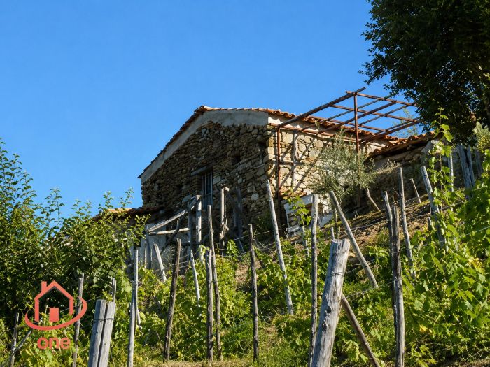 terreno-panoramico-serramezzana-con-grezzo