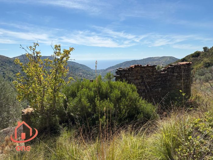proprietà-rustica-con-terreno-panoramico-montecorice-rudere (12)